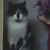 :iconkunnatand: