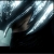 :iconkunocat:
