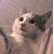 :iconkunoishi: