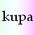 :iconkupka: