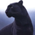 :iconKurai-Lael: