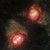 :iconkuraicurry: