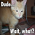 :iconkuraikisu-the-skitzo: