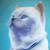 :iconkuraiko-the-neko: