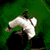 :iconkurbis: