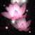 :iconKurinny: