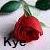 :iconkurly-kye: