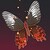 :iconkuro-theninthson: