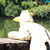:iconkurohana-chan3: