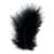 :iconkuroiifeather: