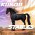 :iconkuroiistables:
