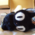 :iconkurokat: