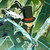 :iconkurolayton: