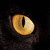 :iconkuroneko8444: