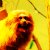 :iconkurophobia: