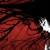 :iconkurorin-lonewolf: