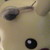 :iconkuruthegreat: