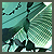 :iconkushed: