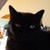 KushielFan :iconkushielfan: