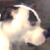 :iconkusike123: