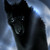:iconkuuwhite: