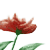 :iconkvtxp: