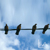 :iconkw-art: