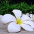 :iconkwebstudio: