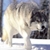 :iconkwiatek87: