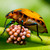 :iconkwillphotography: