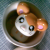 :iconkwispykweme: