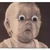 :iconky73n: