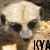 :iconkya-kat: