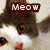 :iconkycia:
