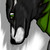 :iconkylegrest: