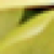 :iconkyliethefae: