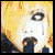 :iconkyo-sama: