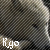 :iconkyo-wolf: