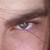 :iconkyoknightly: