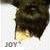 :iconkyomi-san: