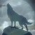 :iconkyoshiwolf:
