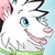 :iconkyotawolf: