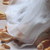 :iconkyra-illion: