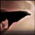 :iconkyrah-elizabeth:
