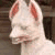 :iconkyree:
