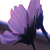 :iconkyrie-gardenia: