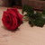 :iconkyroda-naiponda: