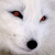 KyrtMalthorn :iconkyrtmalthorn: