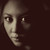 :iconkyttikatphotography: