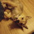 kyubiVortex :iconkyubivortex: